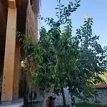 Alacati Sunset Butik Готель *
