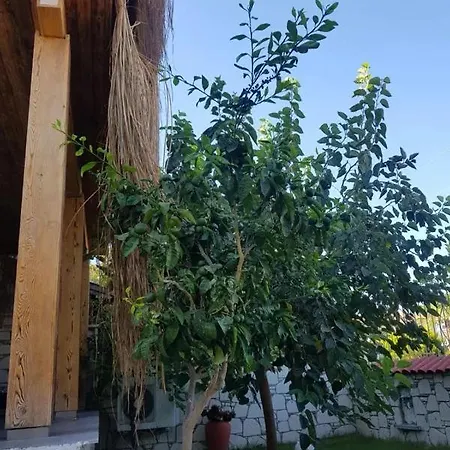 Alaçatı Sunset Butik Otel *